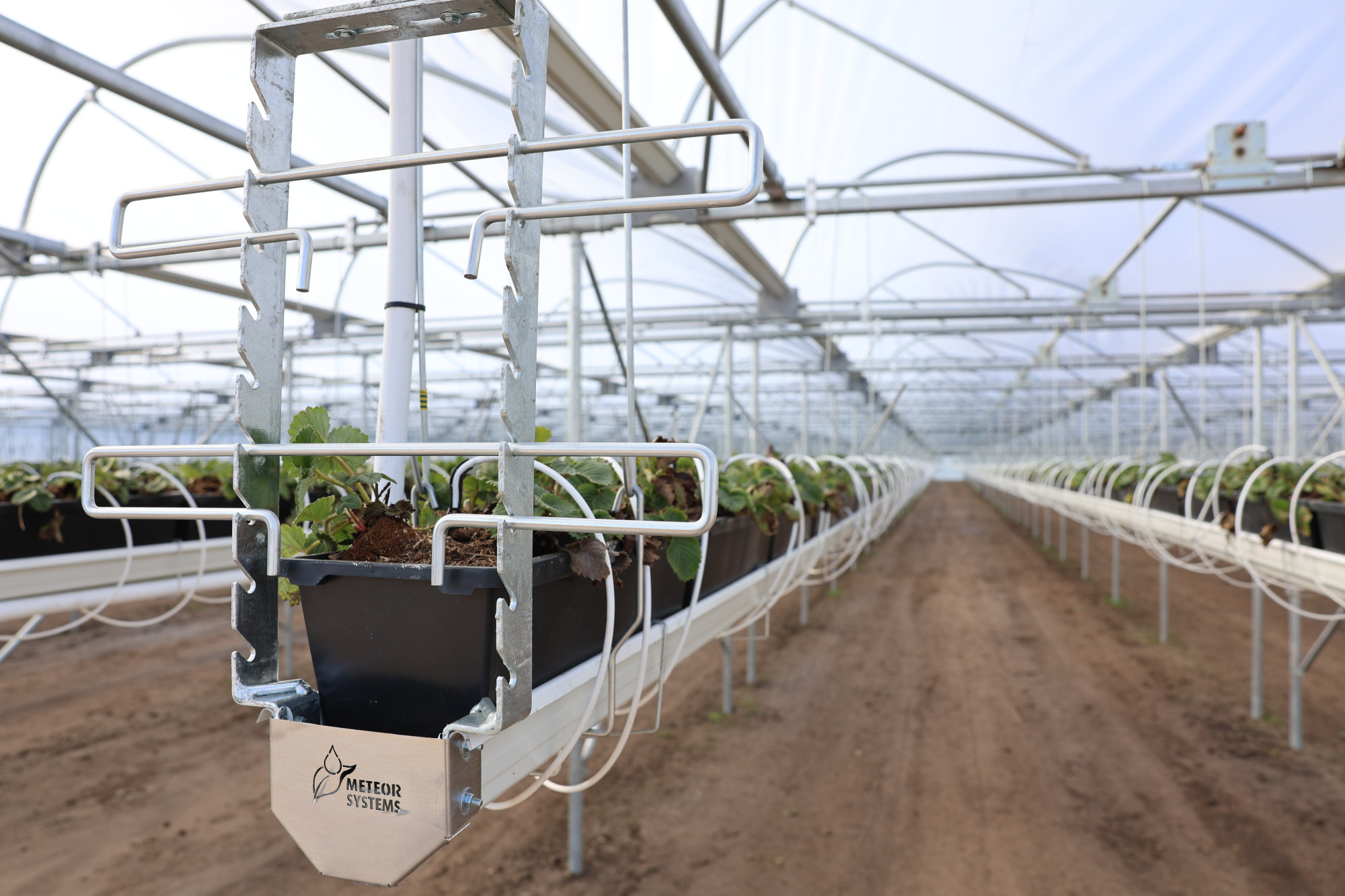 miniairprogoetstouwersschuin.jpg miniairprogoetstouwersschuin.jpg