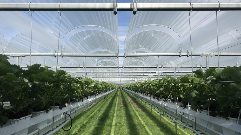 foto30-07-19155539.jpg foto30-07-19155539.jpg