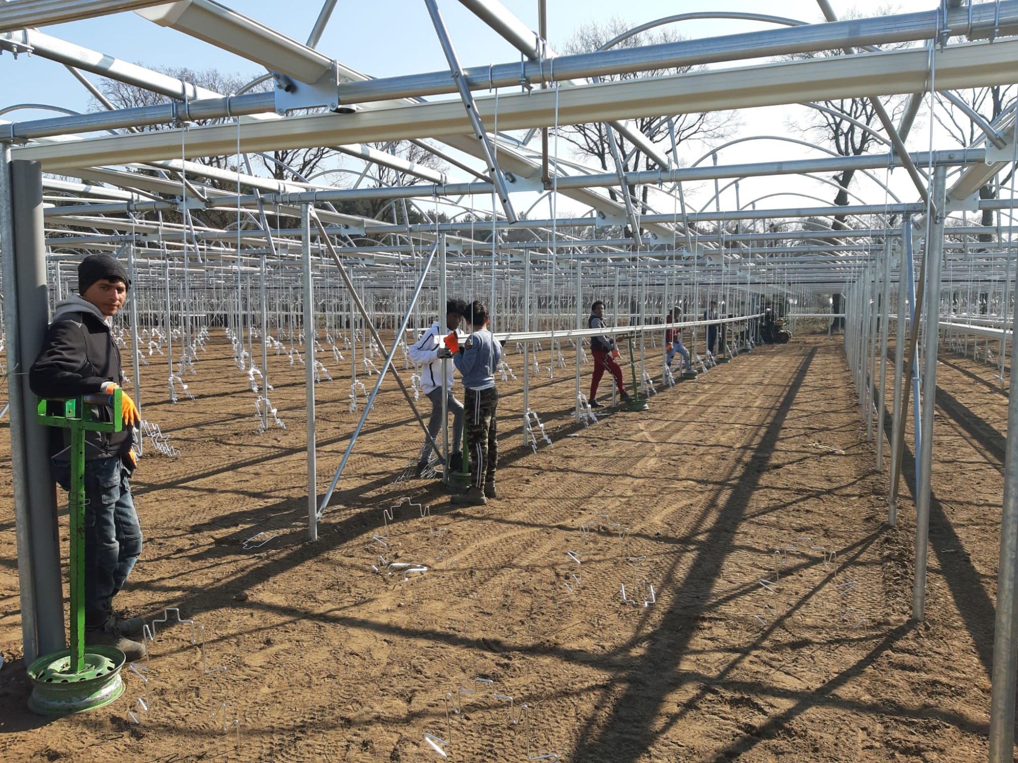 image00027.jpeg image00027.jpeg