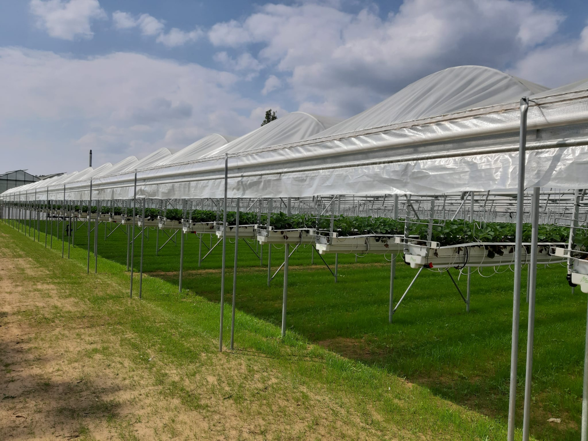 image00051.jpeg image00051.jpeg