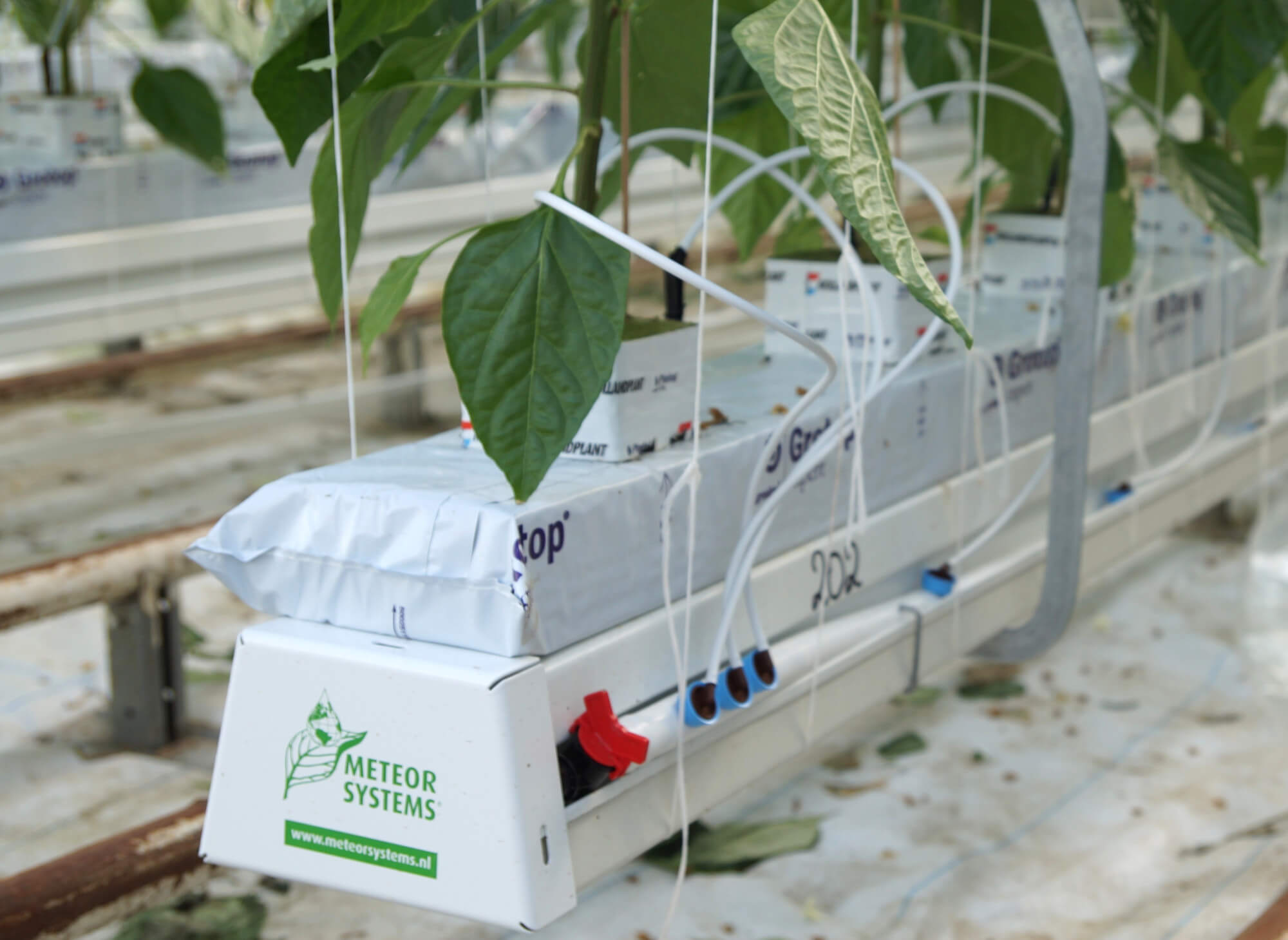 preassembleddripirrigation.jpg preassembleddripirrigation.jpg