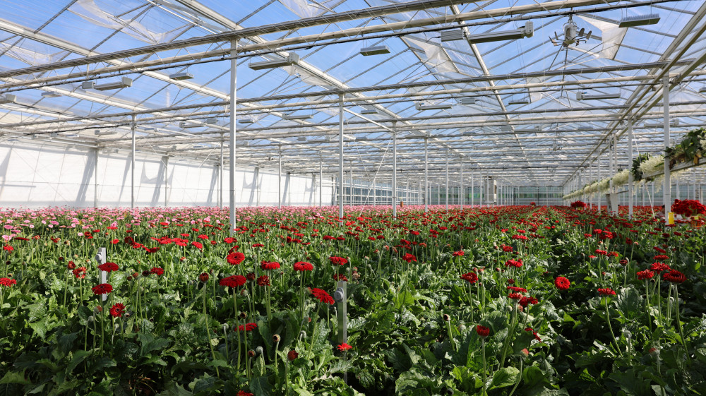 LS5A3200.JPG LS5A3200.JPG