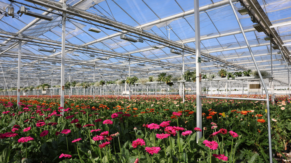 LS5A3229.JPG LS5A3229.JPG