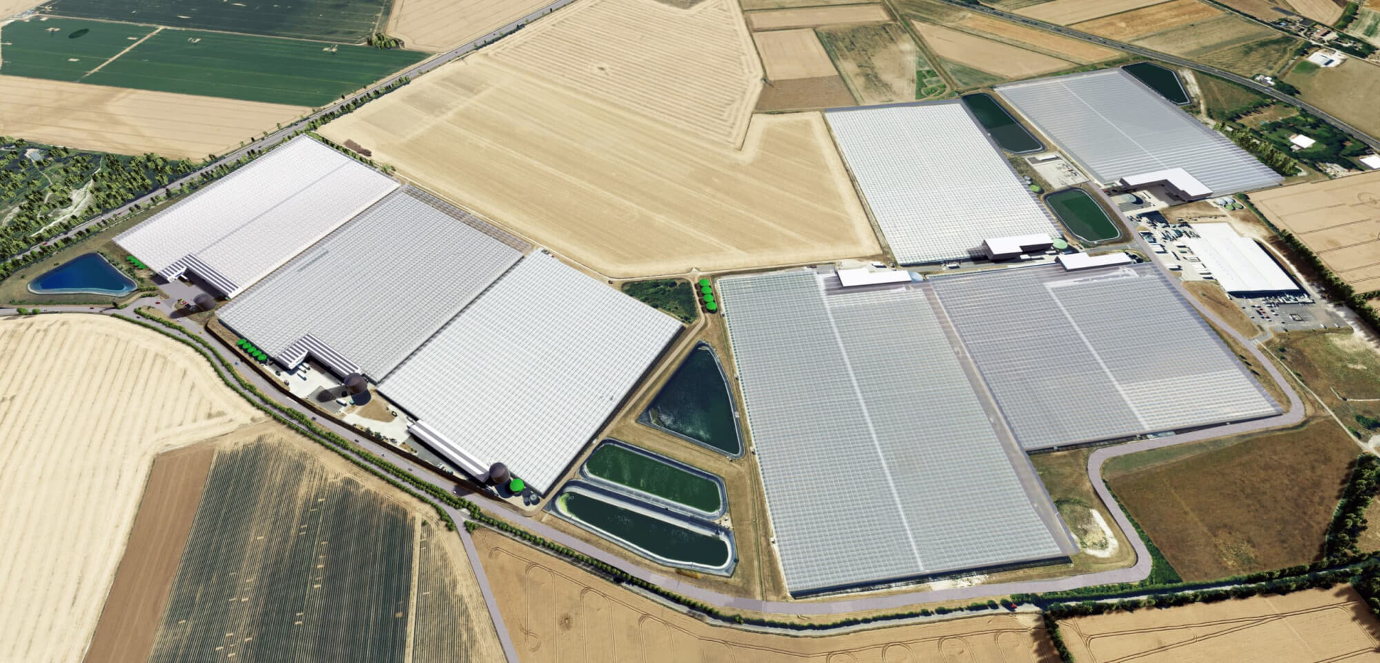 tg7 render full site scaled