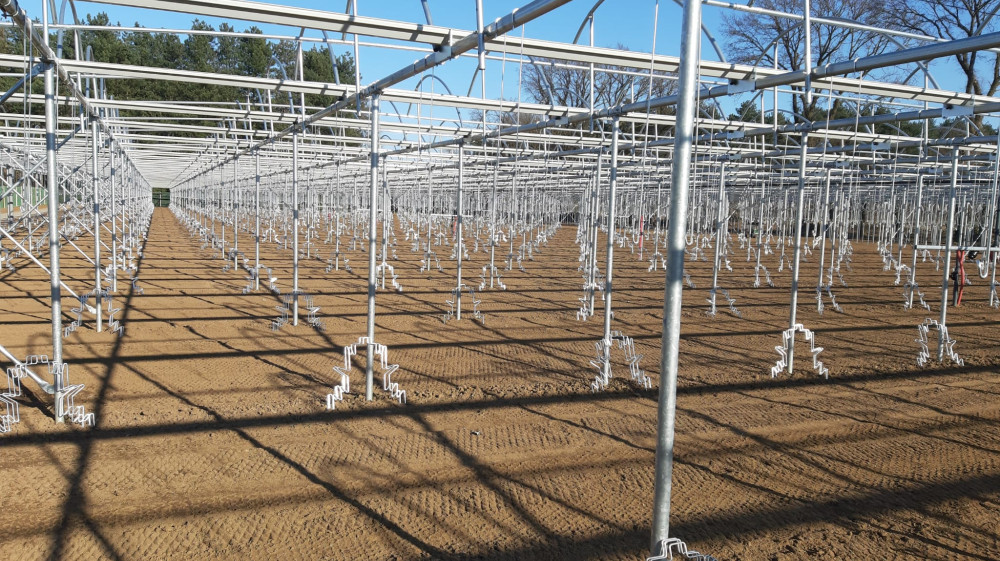 image00032.jpeg image00032.jpeg