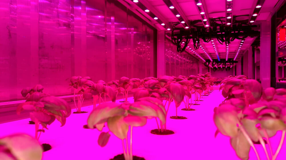 img-20201030-wa0004.jpg img-20201030-wa0004.jpg