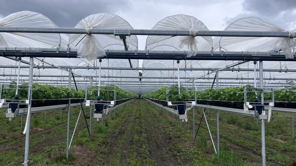 image00004.jpeg image00004.jpeg