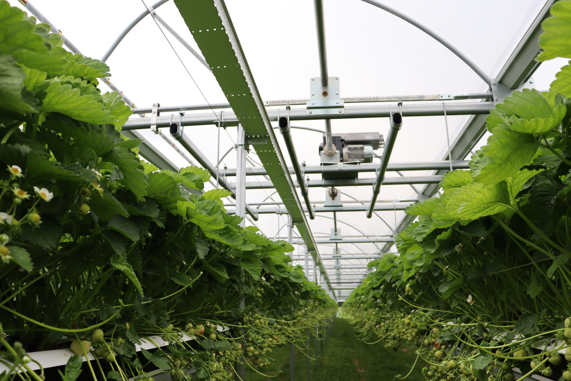 IMG_0021.JPG IMG_0021.JPG