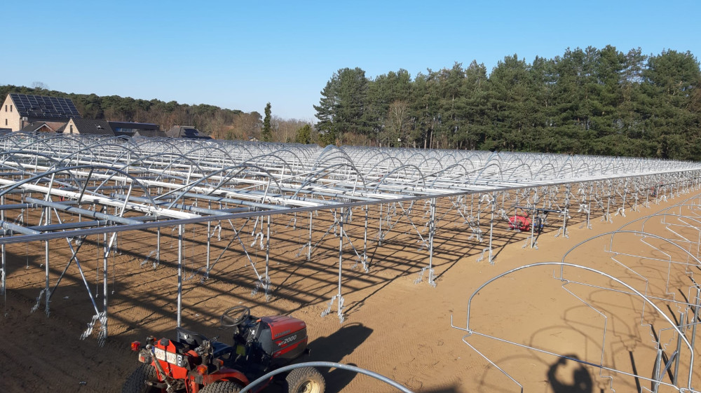 image00039.jpeg image00039.jpeg