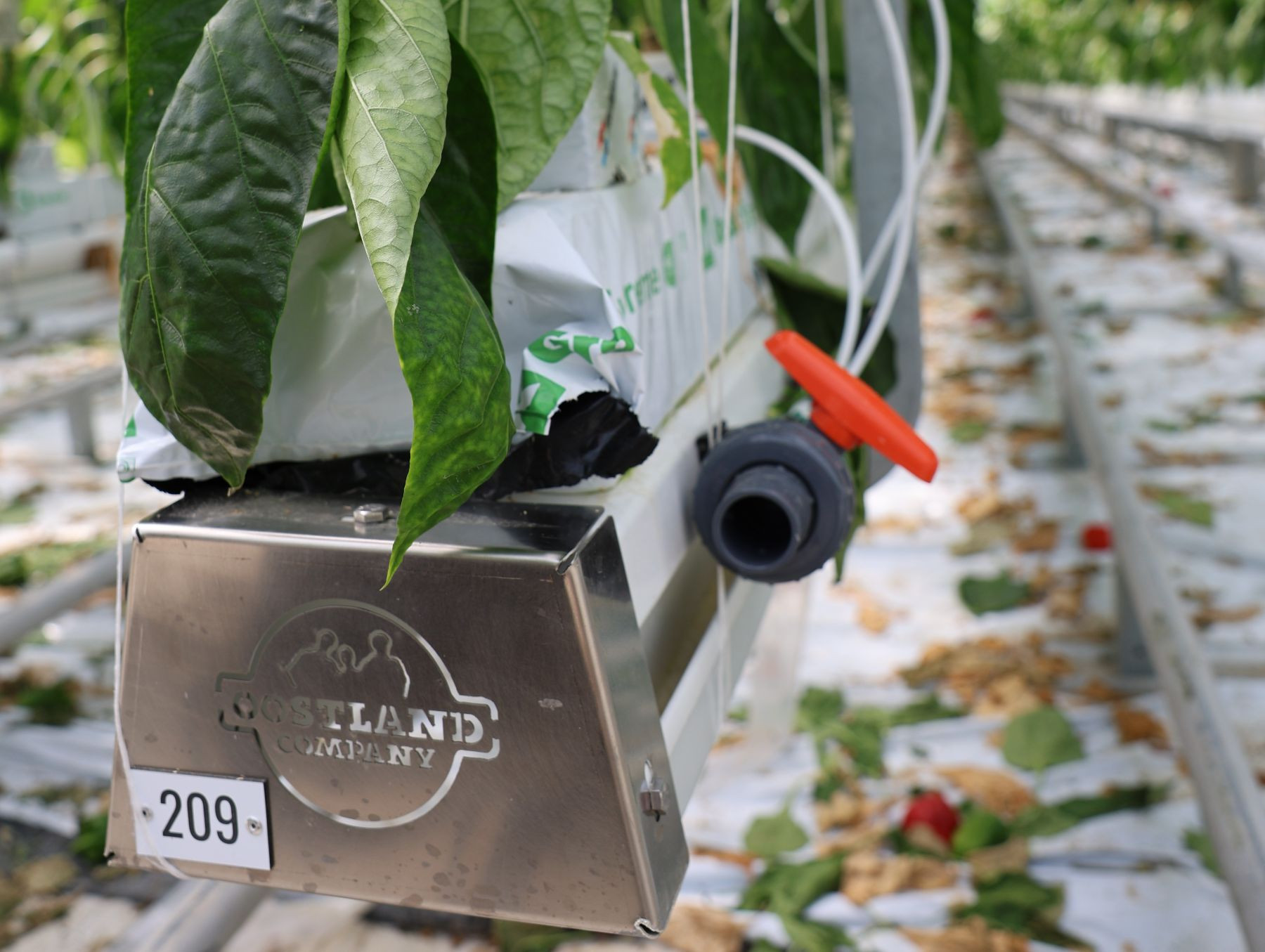 growinggutters.jpg growinggutters.jpg