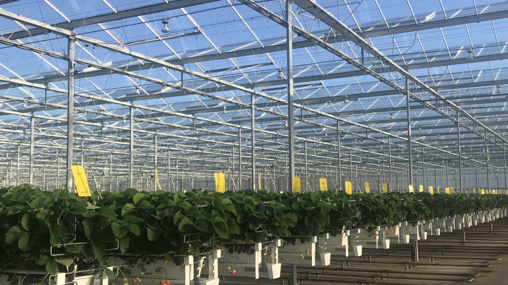 blz.24groterondje.jpeg blz.24groterondje.jpeg