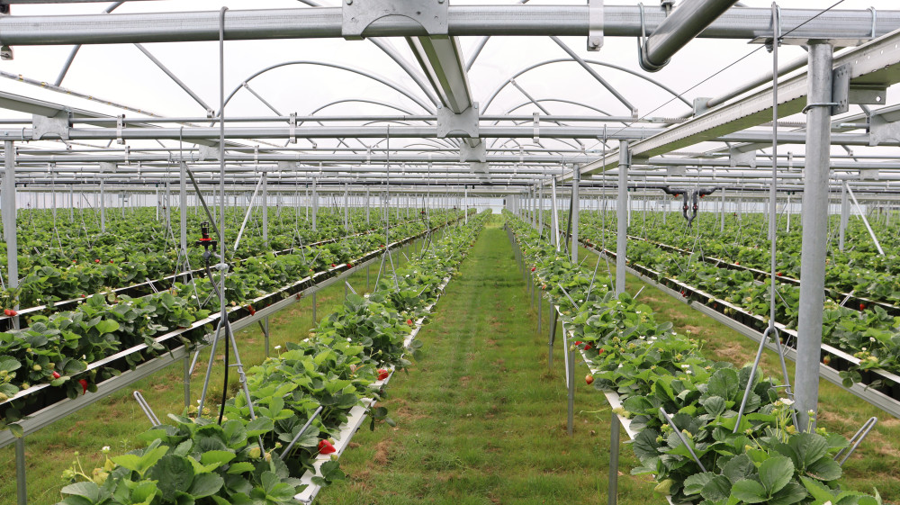 IMG_0048.JPG IMG_0048.JPG