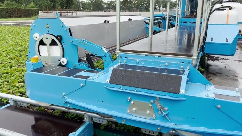 maxresdefault maxresdefault