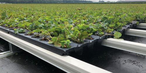 tray-veld-rgb.jpg tray-veld-rgb.jpg