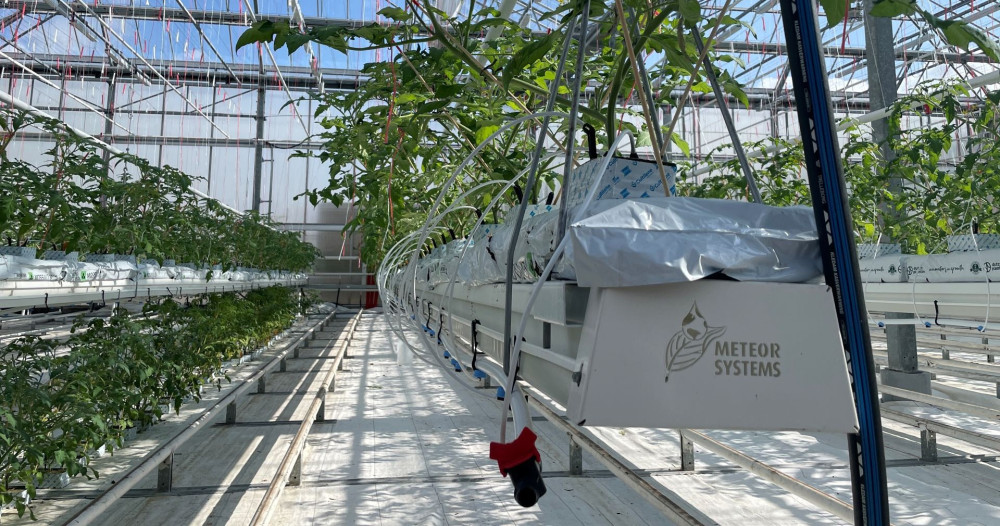 growinggutters2.jpg growinggutters2.jpg