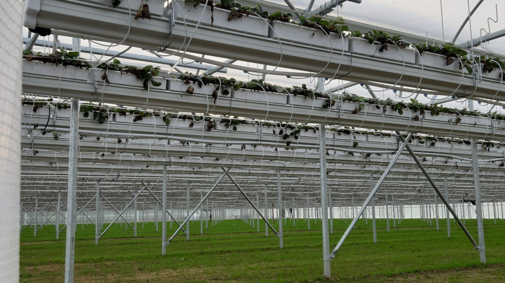 image00003.jpeg image00003.jpeg