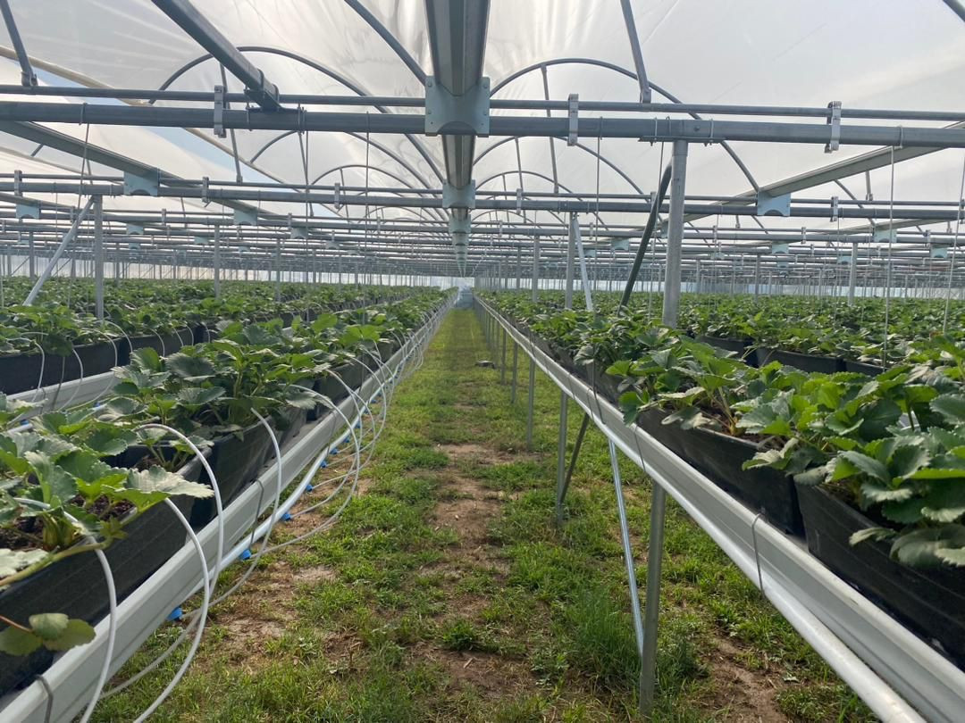 mini-air9.jpg mini-air9.jpg