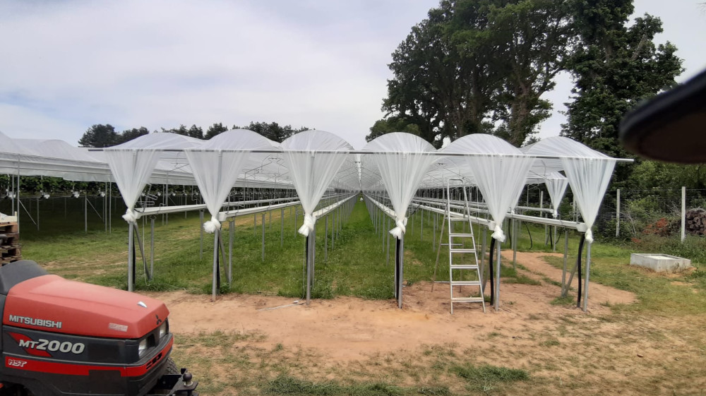 image00067.jpeg image00067.jpeg