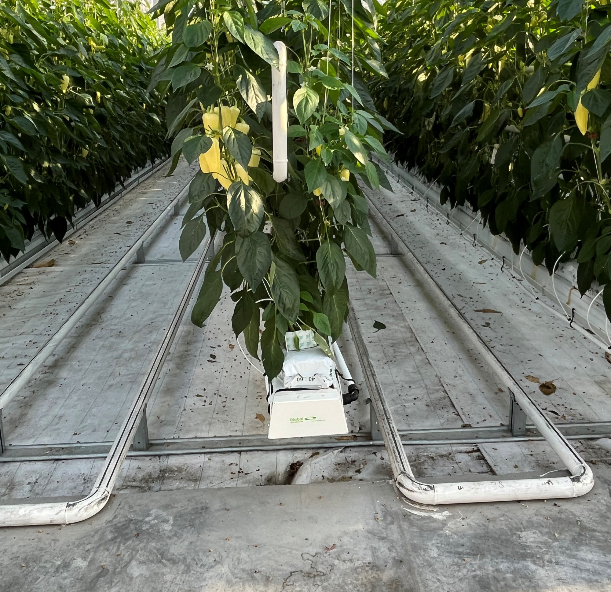 baywidesupport.jpg baywidesupport.jpg